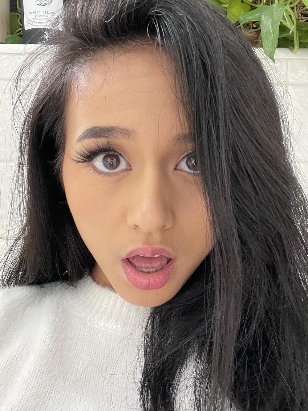 Miso Lexii content 5