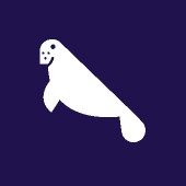 TikTok_Traffic